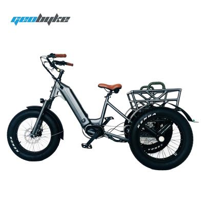 China Aluminum Alloy 20 Inch Electric Trike Fat Tire 3 Wheel Electric Tricycle Adult Cargo Electric Bike With Basket for sale