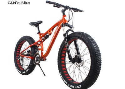 China Classic Environment Friendly Electric Fat Tire Snow Bike , Electric Assist Fat Bike for sale