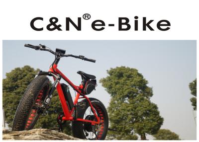 China DNM Front Fork Electric Fat Tire Snow Bike With Electric Motor 4 - 6 Hours Charging Time for sale