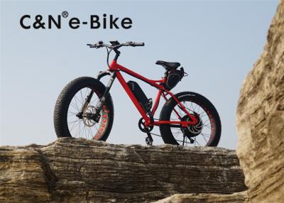 China Fat Tire Electric Sand Bike With Full Suspension , High Speed Womens Fat Tire Beach Cruiser for sale