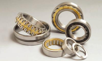 China Thin section roller bearing NN3016KW33 80	x125x34mm brass cage for machine spindle for sale