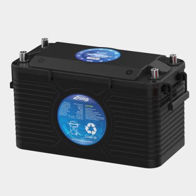 China Lítio de dupla finalidade Ion Rechargeable Battery de LILEAD rv 12v 6000 ciclos à venda