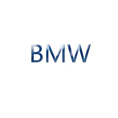 China Diagnose-Tool-Software-Lizenz VXDIAG multi für BMW zu verkaufen