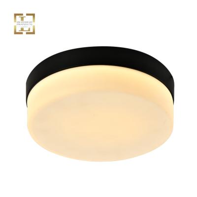 China LONGSKY 15w Iron Bedroom Ceiling Outdoor Mounted Contemporary High Quality Minimalist Glass Lamp Indoor Led Light Fixtures for sale