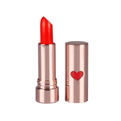 China Fashion Moisture Lipstick OEM Waterproof Natural Lipstick Manufacturer Private Label Matte Liquid Lipstick With Metal Tube Cosmetic for sale