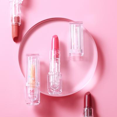 China Factory Custom 60 Waterproof Colors High Moisten Makeup Cosmetics Long Lasting Beauty Lips Liquid Lipstick for sale