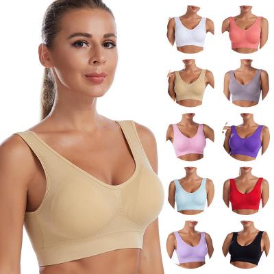 China QUICK DRY 4XL plus size push up gym yoga fitness sports women seamless bra for sale