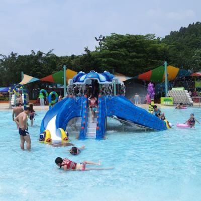 China Amusement Water Parks / Outdoor Playground Pool Aqua Park Kids Slide Water Play Equipment For Sale for sale