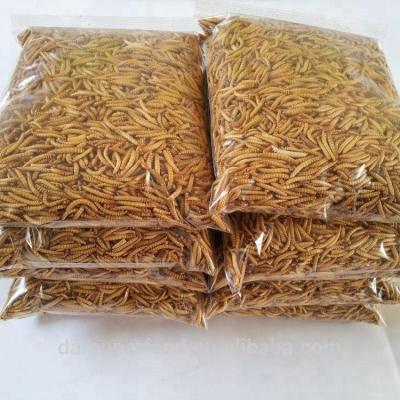 China Sustainable Farm Breed Microwave Dried Feeder Mealworms For Chicken Birds Lizards Amphibians Treats for sale