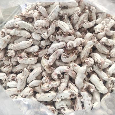 China Freeze-Dried Viable Pinkie Mice For Reptiles, Amphibians, Cats Treats for sale