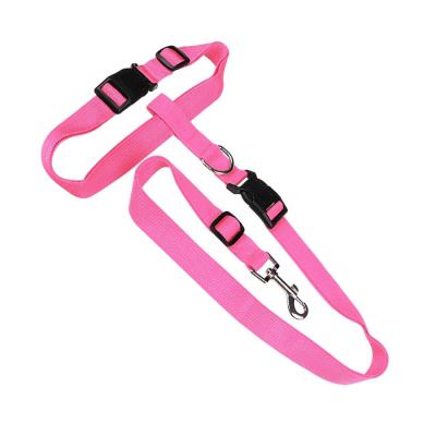 China Sustainable Bungee Custom Training Running Kids Nylon Lighter Petsafe Pet Key Chain Hands Free Dog Leash for sale