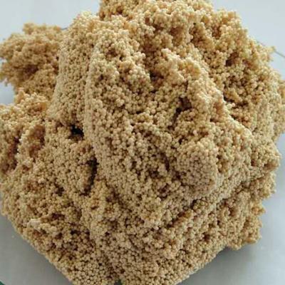 China Water Treatment Solution Ostrich Brown ASD-001 Ion Exchange Resin for Ammonia Nitrogen Removal for sale