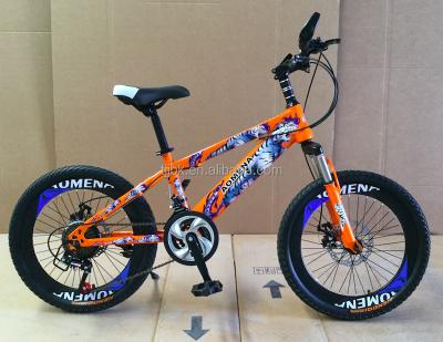 China 2018 Hot Selling Popular Custom Discoverer 27 Speed ​​20 Inch Steel Mountain Bike for sale