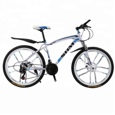 China 2019 Popular Hot Sale 10 Knives Wheel 21,24,27 Bicycle Customized Variable Speed ​​26 Inch Mountain Bike Bicycle For Sale for sale