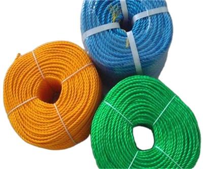 China High Strength UV Protected All Color And Material PP Danline Rope for sale