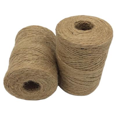 China DIY Decoration China Factory Jute Yarn/Jute Twine/Rope 2ply 100m Spool Natural Color Twisted Jute Packing for sale