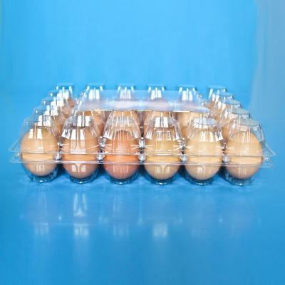 China Recyclable Plastic Blister Quail Egg Tray Manufacturing for sale