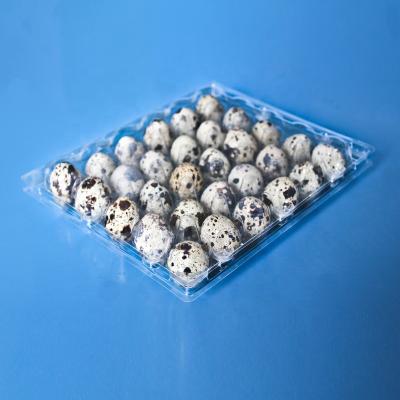 China Disposable Eco-Friendly Custom Quail Egg Tray Cardboard for sale