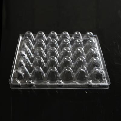 China Disposable Quail Egg Trays Packaging Cartons For Sale for sale