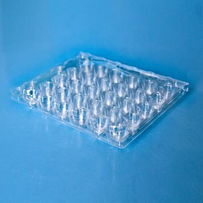 China Disposable Hot Selling Transparent Quail Egg Cartons Tray Plastic for sale