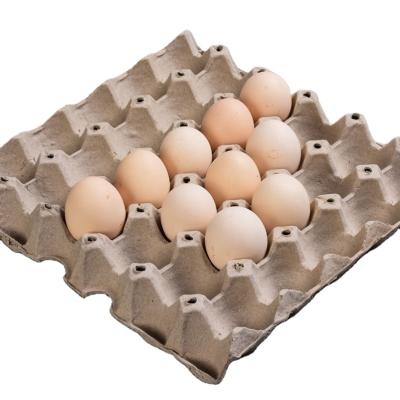 China Manufacturer Biodegradable Cheap and High Quality 30 Pieces of Pulp Egg Tray for sale