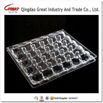 China Disposable Clear Plastic Quail Egg Tray With 24 Cells for sale