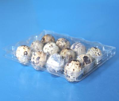 China Disposable Quail Egg Clamshell Blister Plastic Disposable Tray 6 Holes Slots for sale