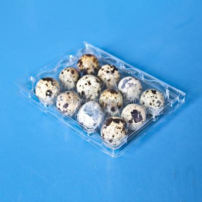 China Disposable Wholesale Transparent Quail Egg Cartons Packaging Tray for sale