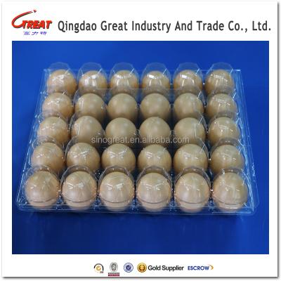 China Disposable Plastic Eggs 30 Holes Clear Container for sale