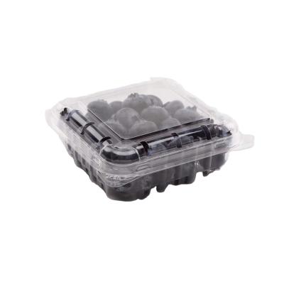 China Recycled Materials Food Grade Clam Disposable Clear Shell Plastic Fruit Packing Box For Blueberry In 4.4 Ounce for sale