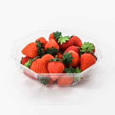 China Disposable Food Clamshell Fruit Salad Container Plastic Wholesale for sale