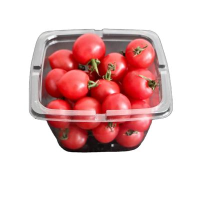 China Recycled Plastic Clamshell Cherry Materials Thermoforming Tomato Tray Fruit Packing Clamshell for sale