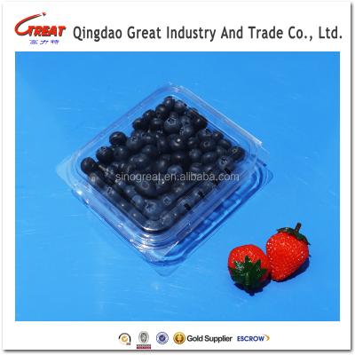 China Disposable Disposable Clear Plastic Container Small Square Blueberry Container for sale