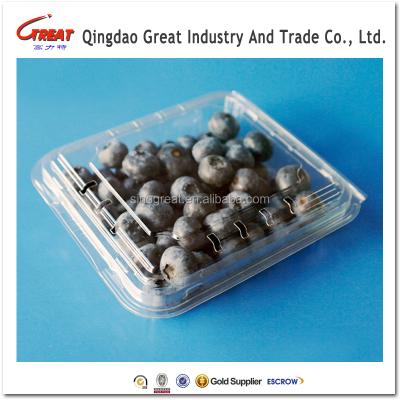 China Disposable Fruit Plastic Packaging Container Blueberry Clamshell for sale