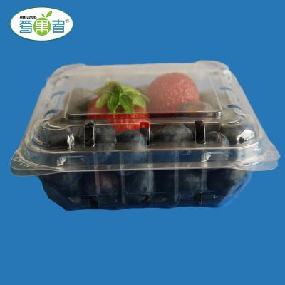 China Disposable Blister Blueberry Clamshell Container Disposable Plastic Packaging for sale