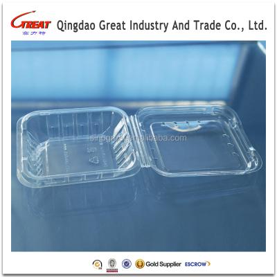 China Disposable PET Vented Holes Blueberry Plastic Clear Disposable Plastic Gullet for sale