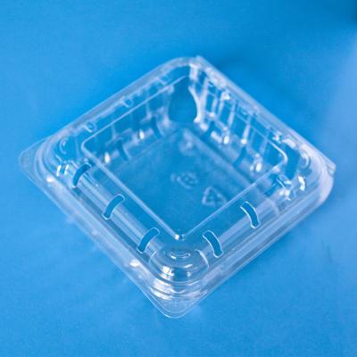 China Recycled Materials Food Grade Plastic Fruit Container Packaging For Blueberry for sale