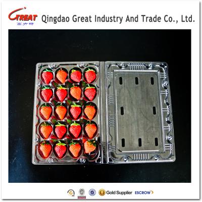 China Disposable Plastic PET Transport Fruit Disposable Box For Strawberry Packing for sale