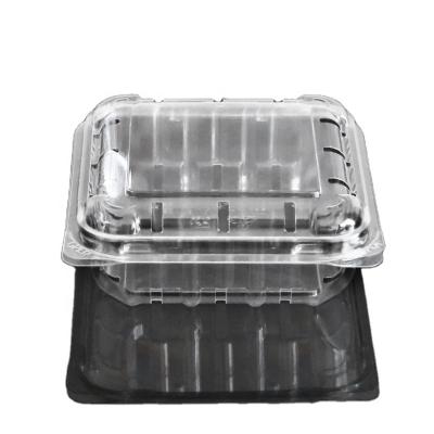 China High Quality Recycled Materials Plastic Material Fresh Fruit Blueberry Clamshell Blueberry Clamshell Blueberry Tray Clamshell Blueberry Packing Container for sale