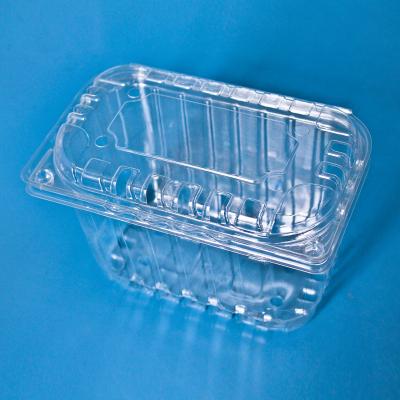 China Disposable High Quality Custom Plastic Fresh Fruit Export Blister Packing Tray For Vegetable for sale