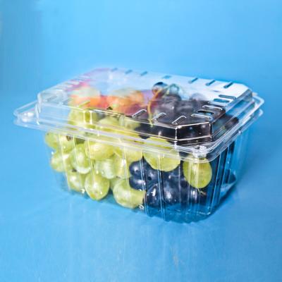 China GLT-84B6 disposable plastic tomato fruit clamshell container, plastic fruit tray for strawberry for sale