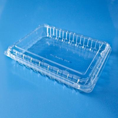 China Disposable high quality plastic bliter dry fruit packaging box for blueberry strawberry for sale