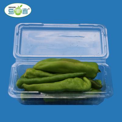 China Disposable Promotional Customized Fruit Packing Tray Fruit and Vegetable Packing Trays Blister Food Tray for sale