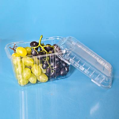 China Disposable Wholesale Corrugated Clamshell Fruit Packaging Box for sale