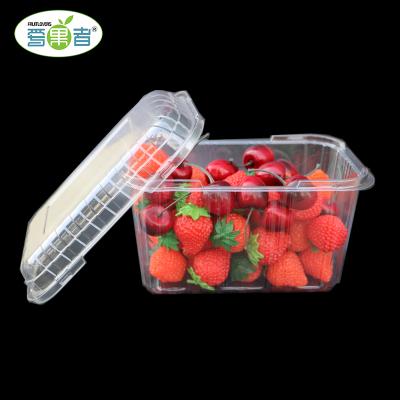 China Disposable Clear Plastic Blister Plastic Fruit Packaging Box for sale