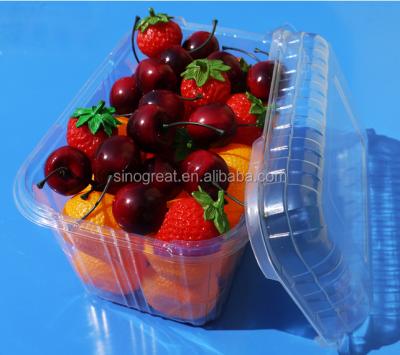 China New Design Disposable Pet Food Fruit Packaging Tray For Grape With Clear Plastic Lid for sale