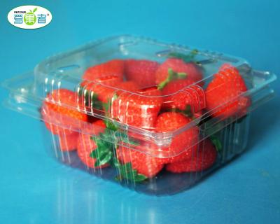 China Recyclable Disposable Clear Fruit Clamshell Plastic Strawberry Packaging Container for sale