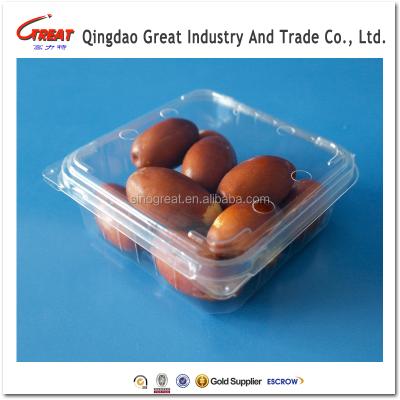 China Food Grade Disposable Clear Clamshell Small Plastic Box For Fruit Packing for sale