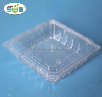 China Recyclable Clear 170g Raspberry Blister Clamshell Plastic Containers for sale