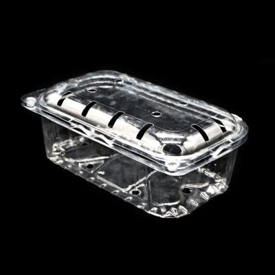 China Disposable Plastic Clear Grape Container 500 Grape Packing Container Crankcase for sale